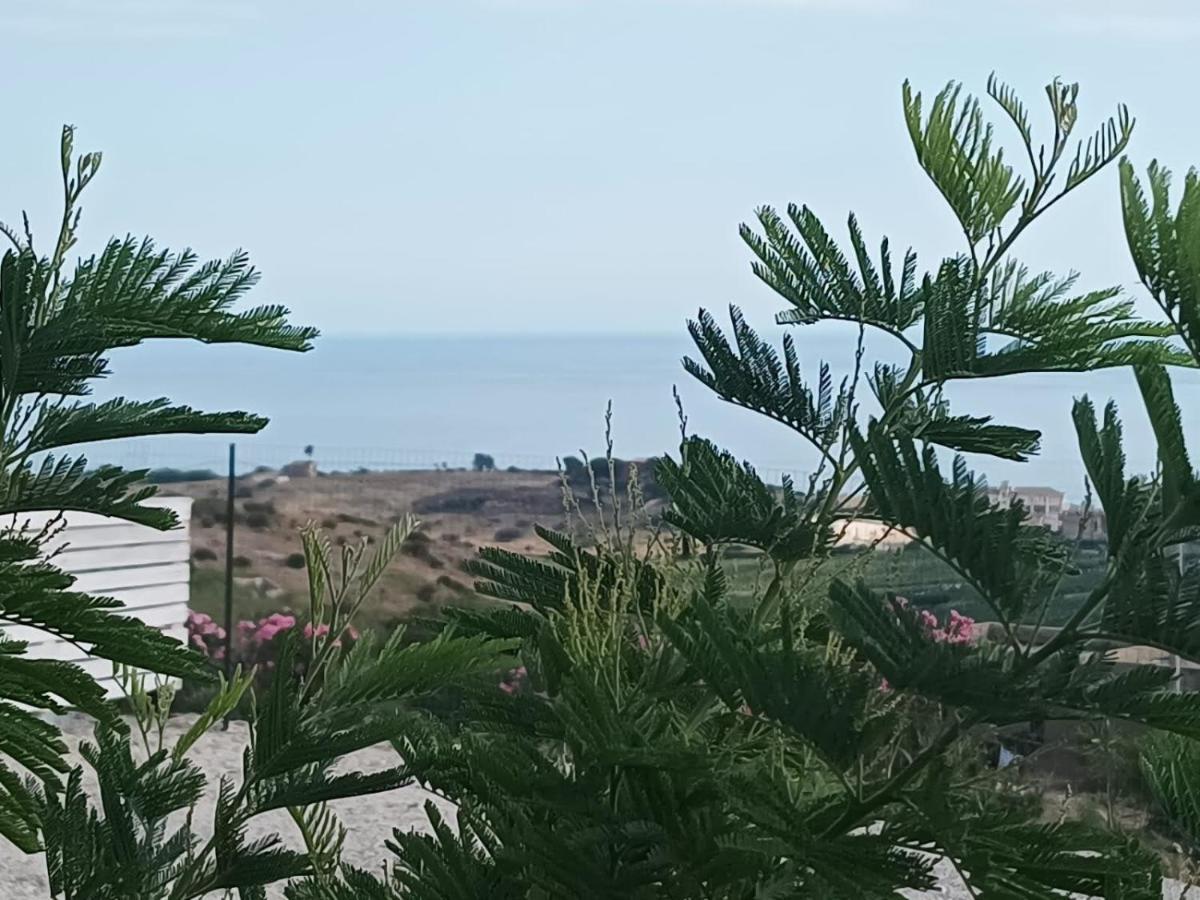 Casa Vacanze Abbacari 雷阿尔蒙特 外观 照片