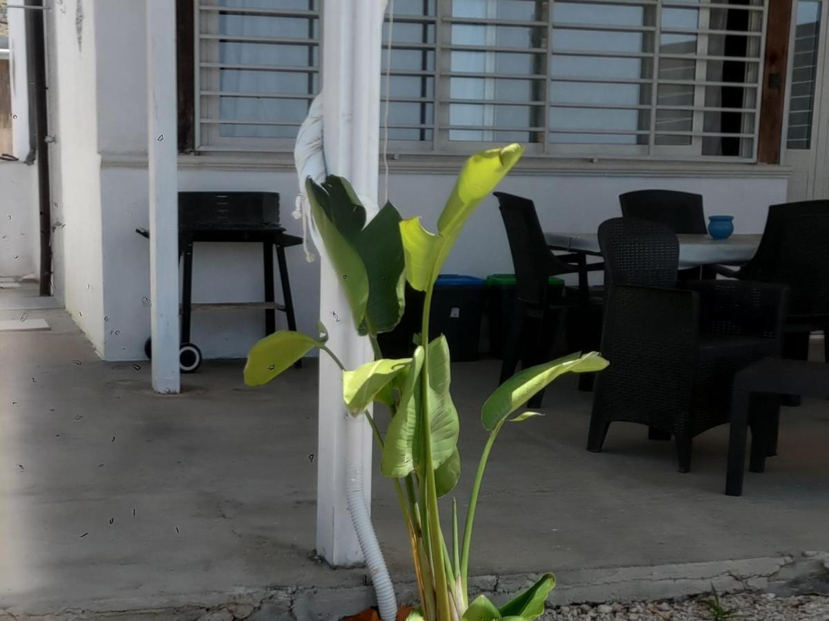 Casa Vacanze Abbacari 雷阿尔蒙特 外观 照片
