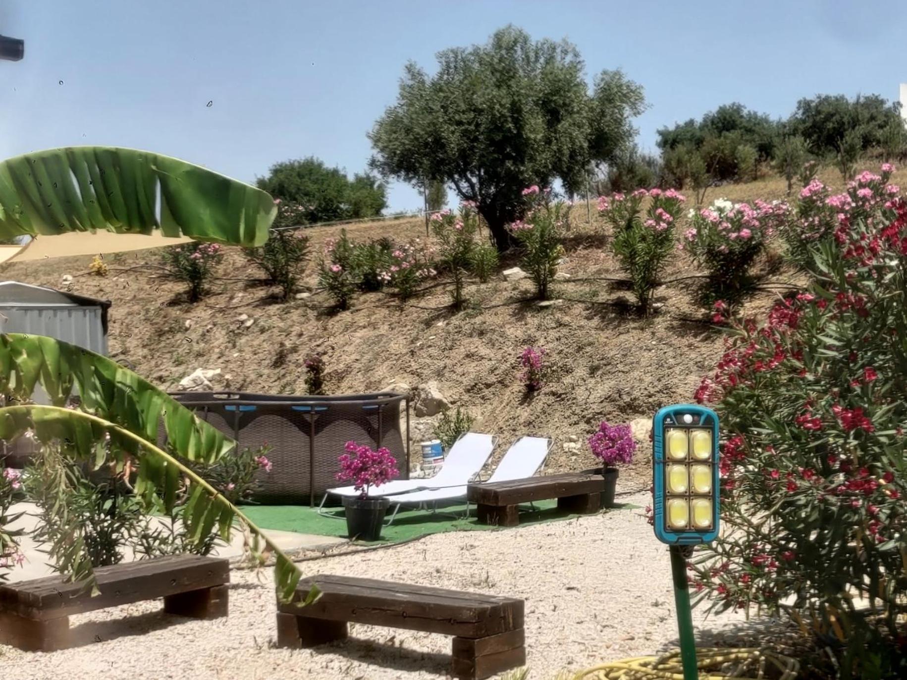 Casa Vacanze Abbacari 雷阿尔蒙特 外观 照片