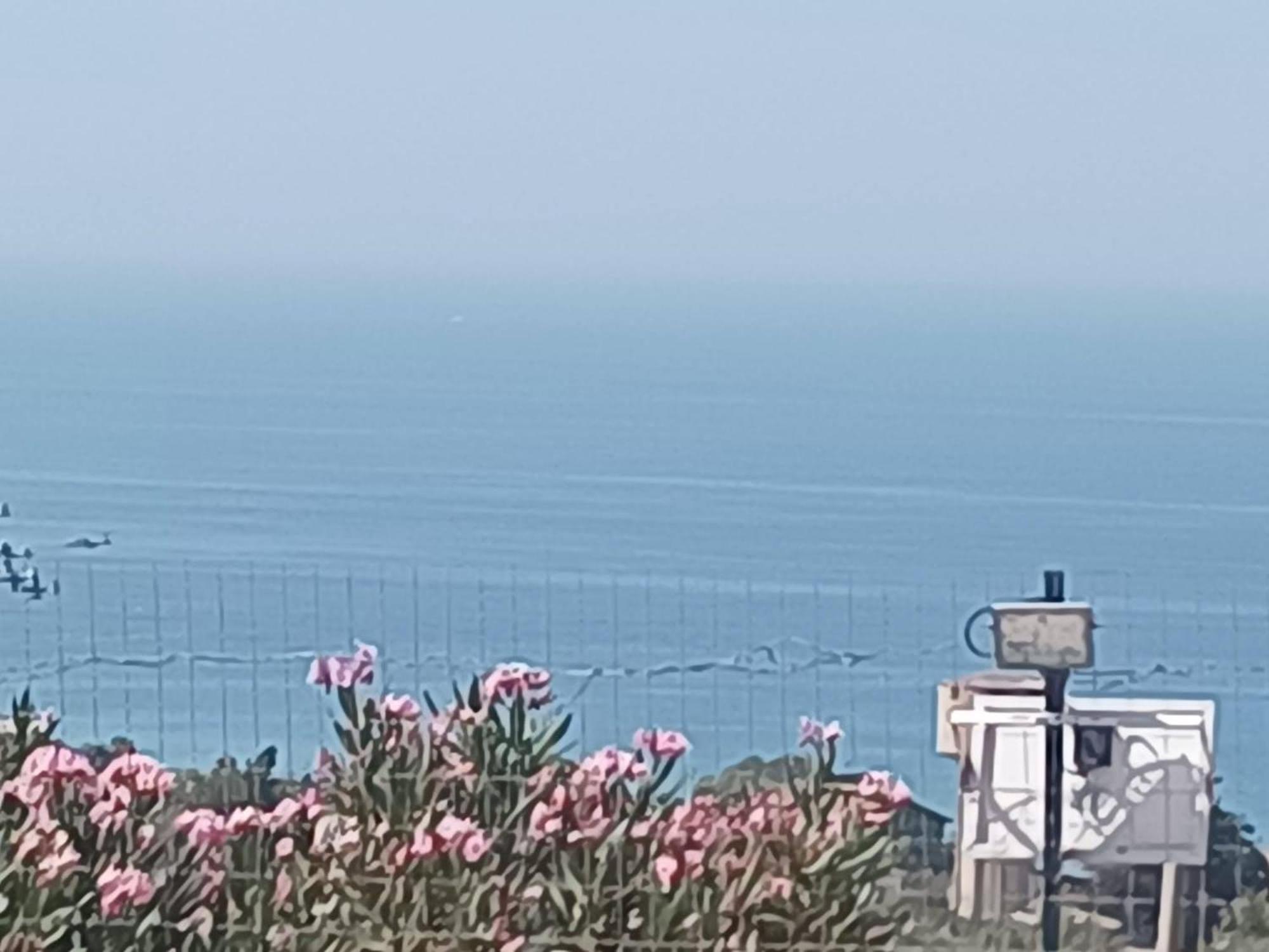 Casa Vacanze Abbacari 雷阿尔蒙特 外观 照片